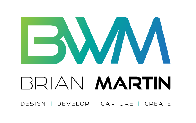 logo color